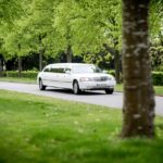 How to Choose the Right NYC Limousine Service for Your Occasion